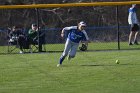 Softball vs Babson  Wheaton College Softball vs Babson College. - Photo by Keith Nordstrom : Wheaton, Softball, Babson, NEWMAC